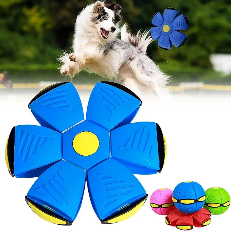 Pet Magic Flying Saucer Ball