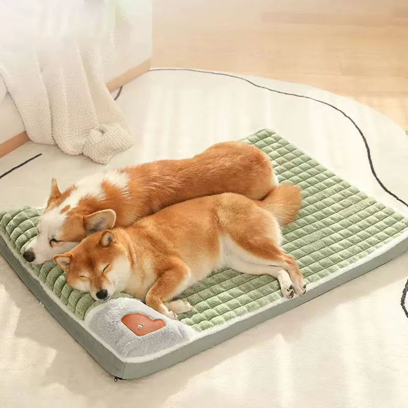 Pet Cushion