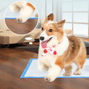 Super Absorbent Pet Pad