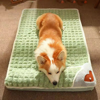 Pet Cushion