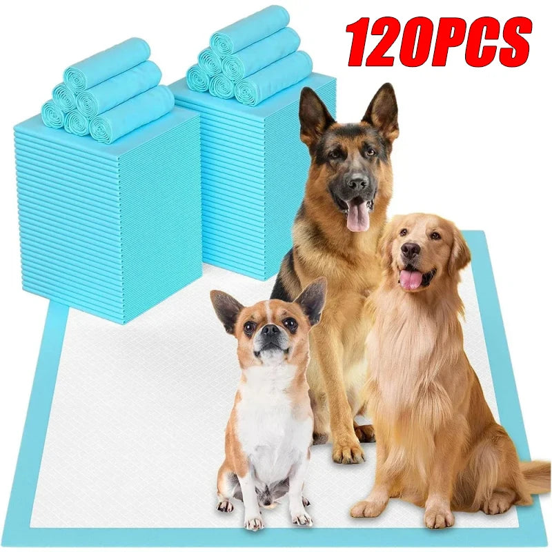 Super Absorbent Pet Pad